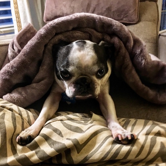 Meet your Posher, David - Picture 1 of 1